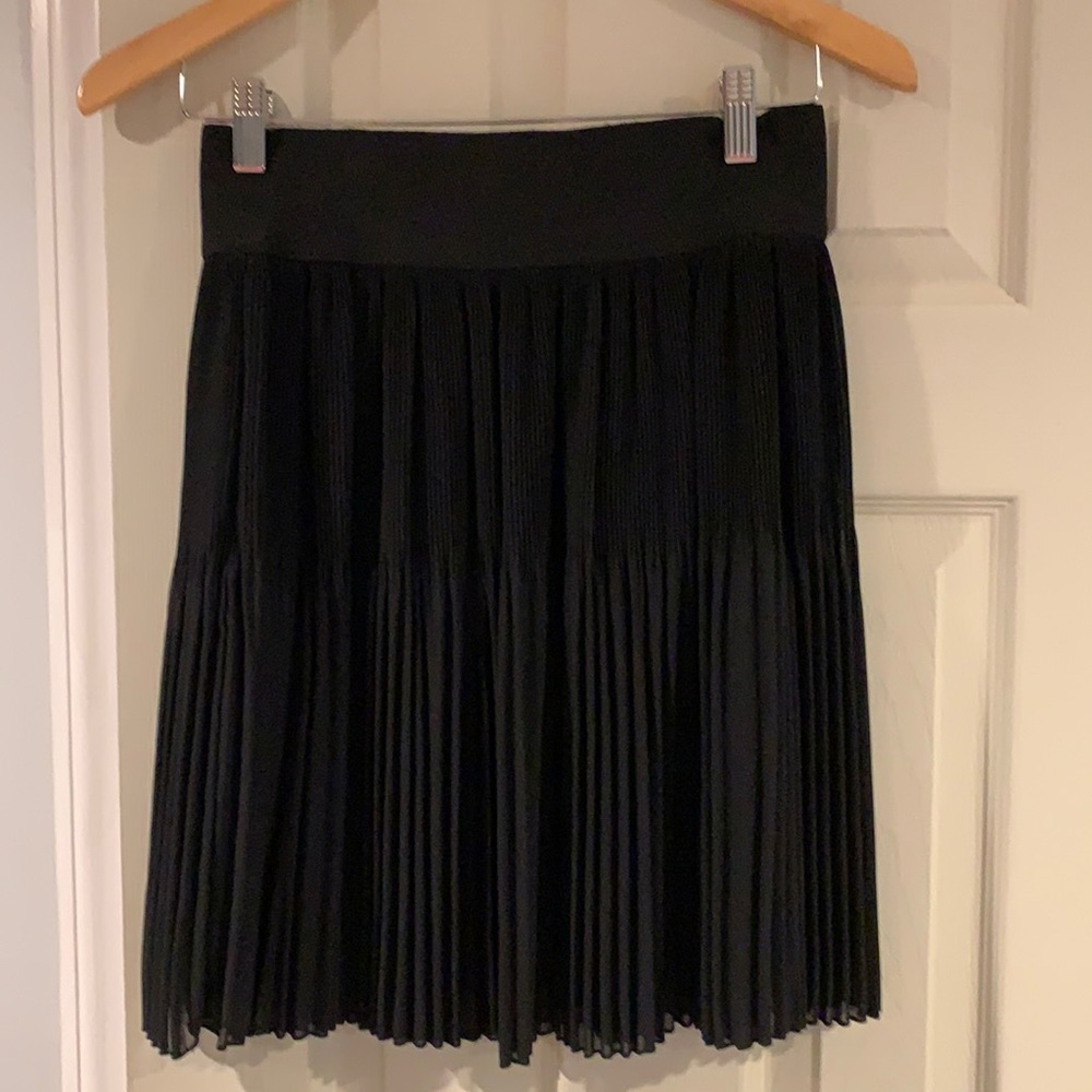 Zara Skirt